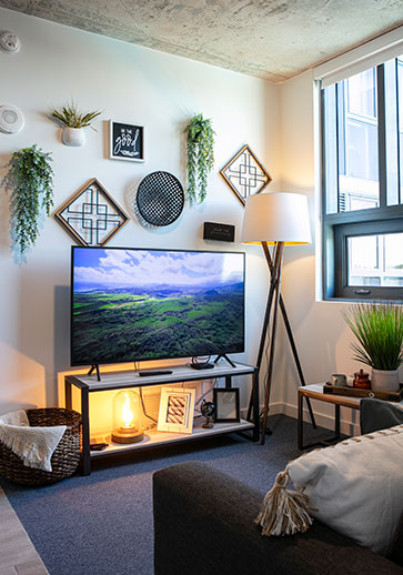 Furnished apartment living space